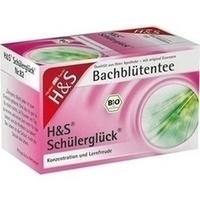 H&S Bachblüten Schülerglück-Tee Filterbeutel